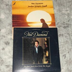 Neil Diamond Vinyl Record Set 2 albums.